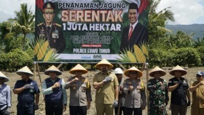 Penanaman Serentak Jagung 1 Juta Hektar.